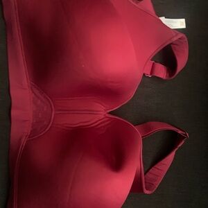 Cacique Comfort Bliss Lightly Lined No-Wire Bra in red size 48DD